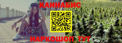 трава Гатчина